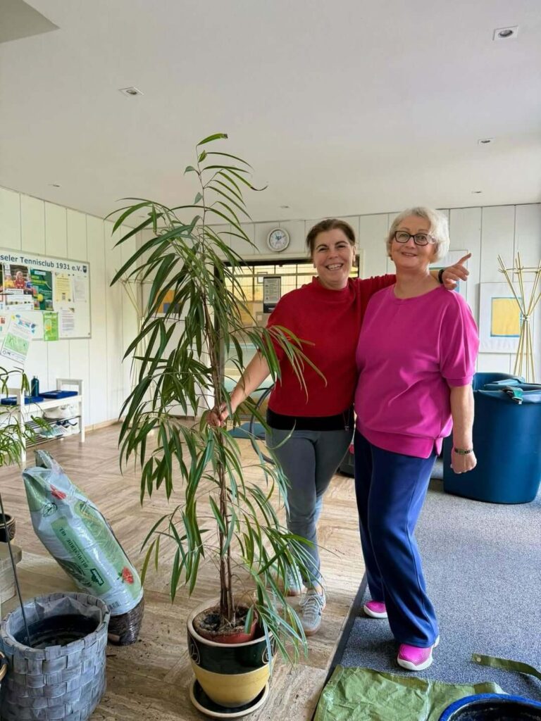 Zwei Frauen topfen Zimmerpflanzen im Foyer des Clubhauses des TC31 Kassel um.