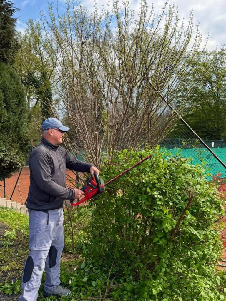 Ein Helfer schneidet mit einer elektrischen Heckenschere die Sträucher am Rand des Tennisplatzes.